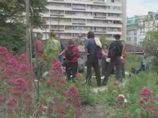 Noé Conservation: Papillons et Pollinisation 🦋