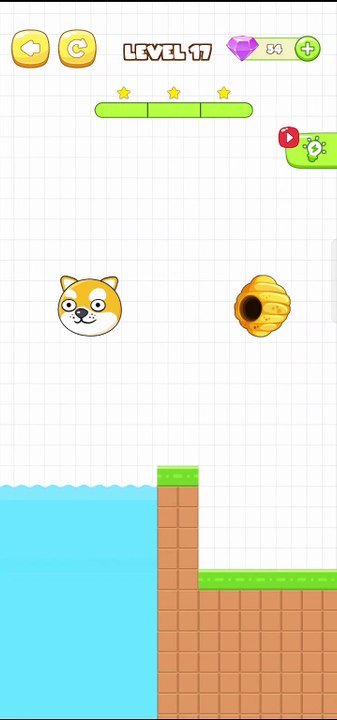 Save The Pets Level 17