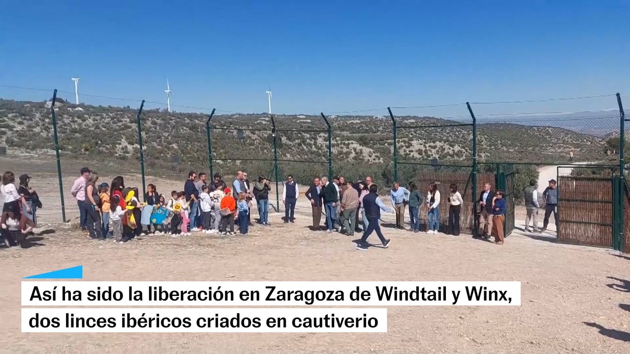 Así han liberado a ‘Windtail’ y ‘Winx’, dos lin...