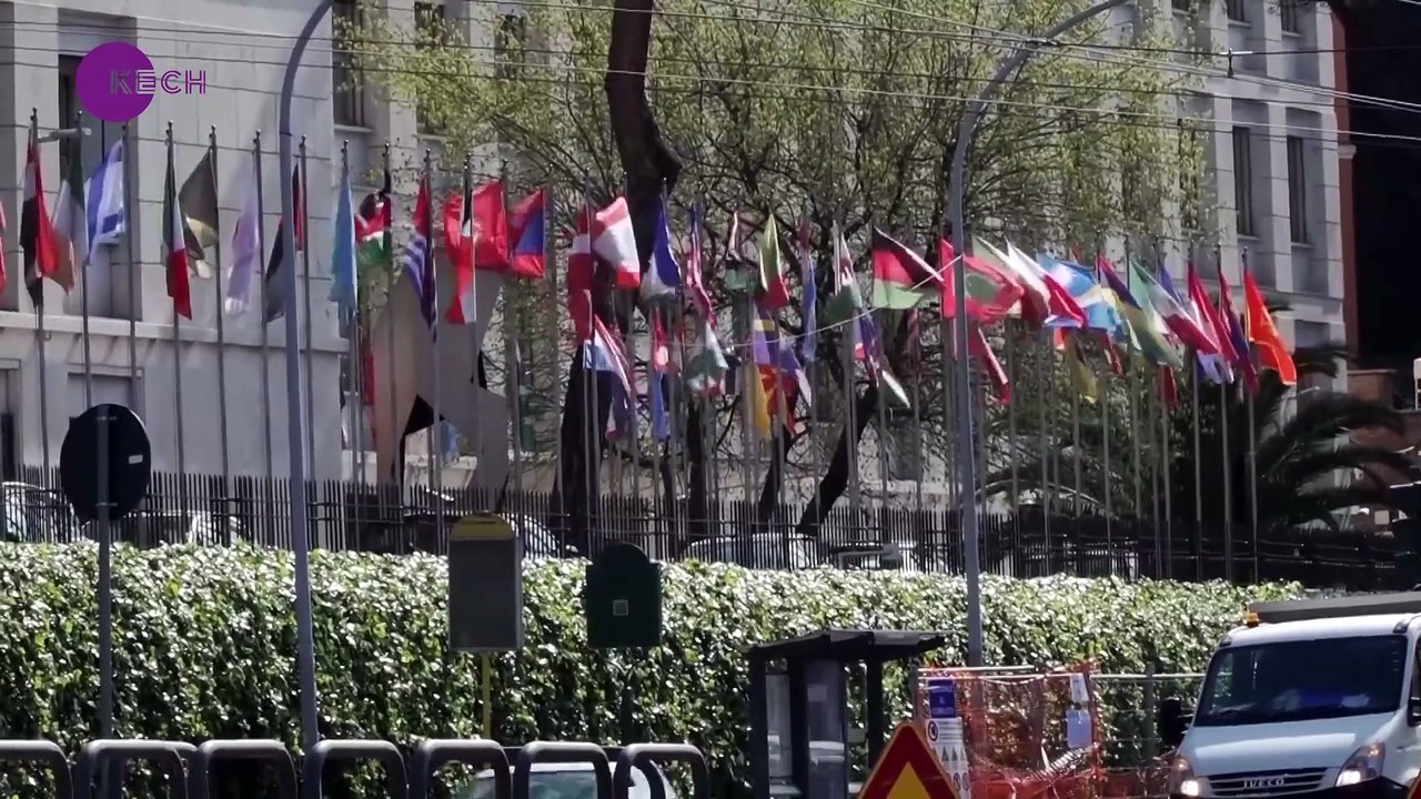 Mideast tensions disrupt global food, energy supply chains FAO