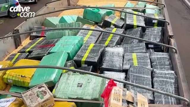 PRF apreende toneladas de maconha escondidas em carga de milho na BR-163