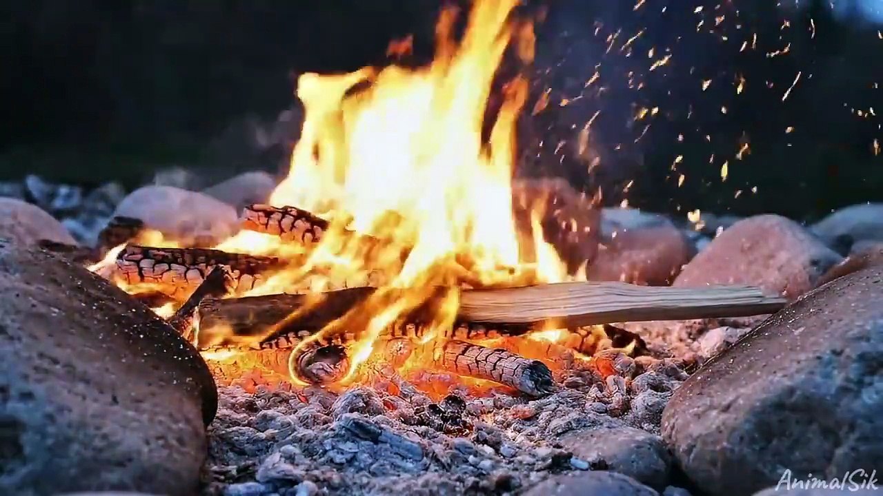 How Native Americans Survived –71°C Winters _ Ancient Survival Secrets ...