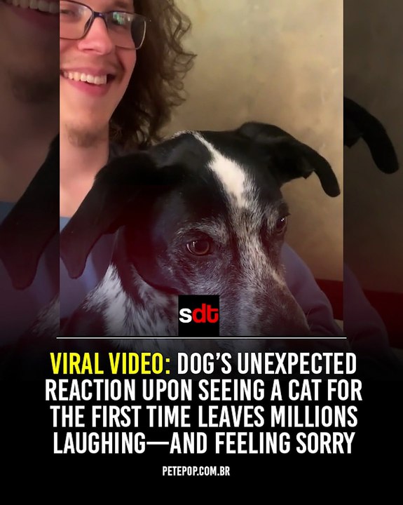 Viral video: dog’s unexpected reaction upon seeing a cat for the first time leaves millions laughing—and feeling sorry