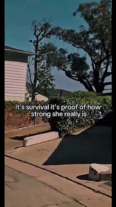 Her Comeback Began the Day She Chose Peace