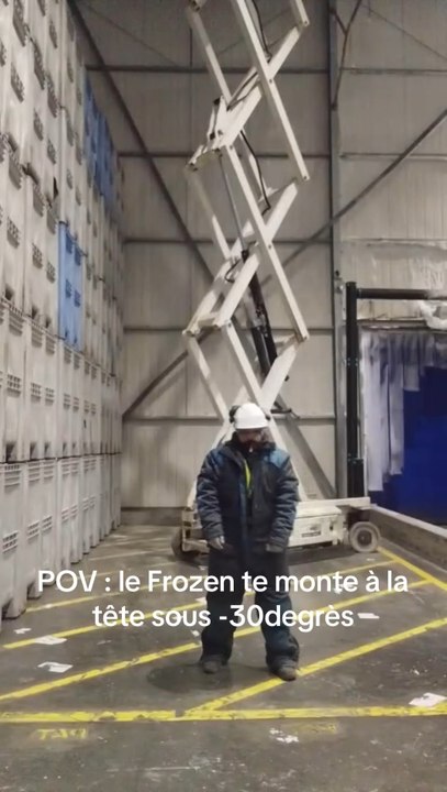 POV: le Frozen