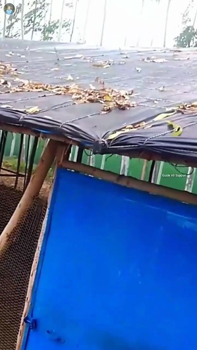 Poultry farm Chhat ka tirpal | poultry farm bus...