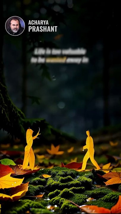 Beyond Mental Chaos __ Acharya Prashant
