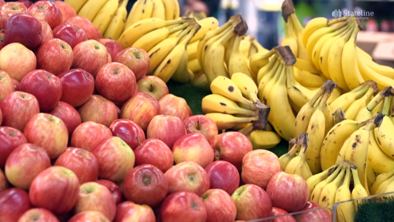 Petrol price rise amid war in the Middle East adds to cost-of-living focus in SA state election