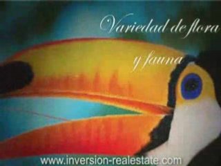 real estate costa rica