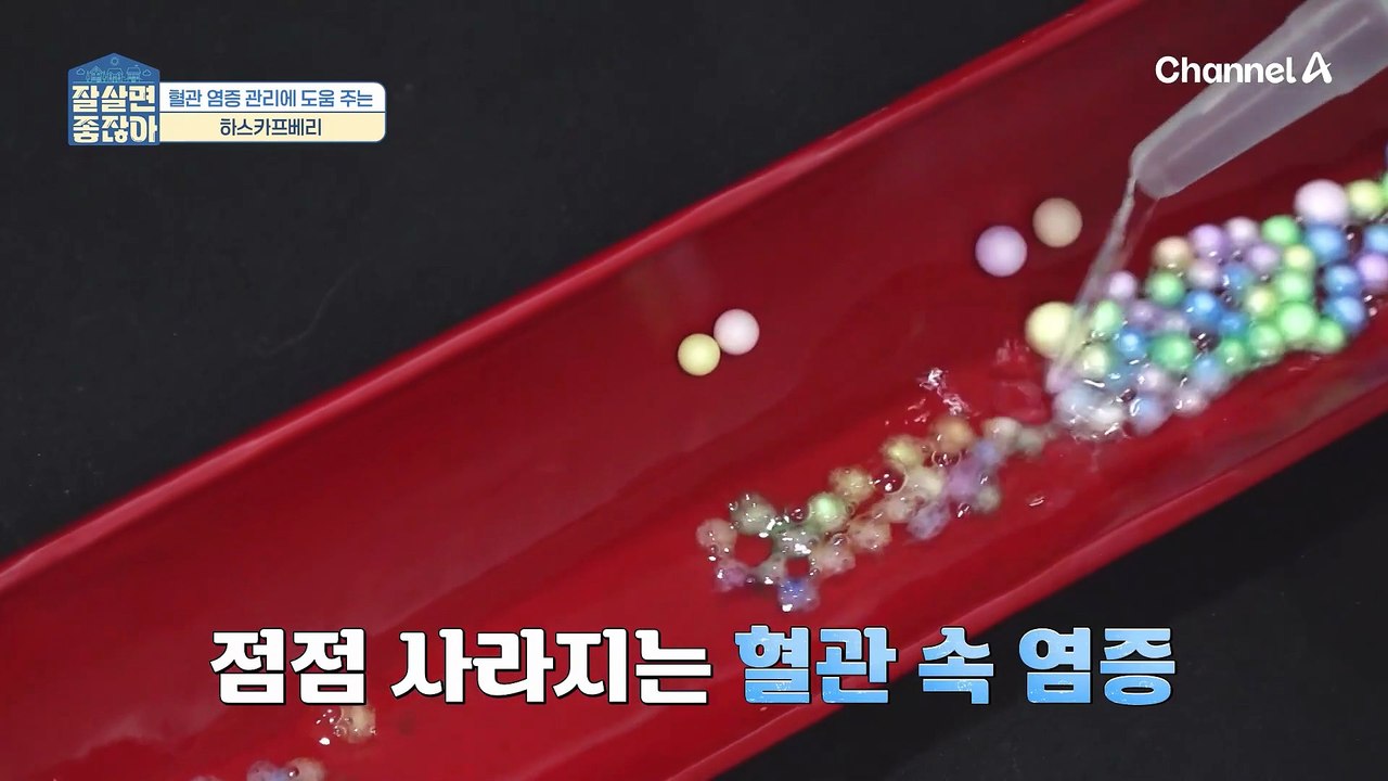 하스카프베리 섭취로 중년 비만 탈출 가능?! 복부비만까지 막아준다?