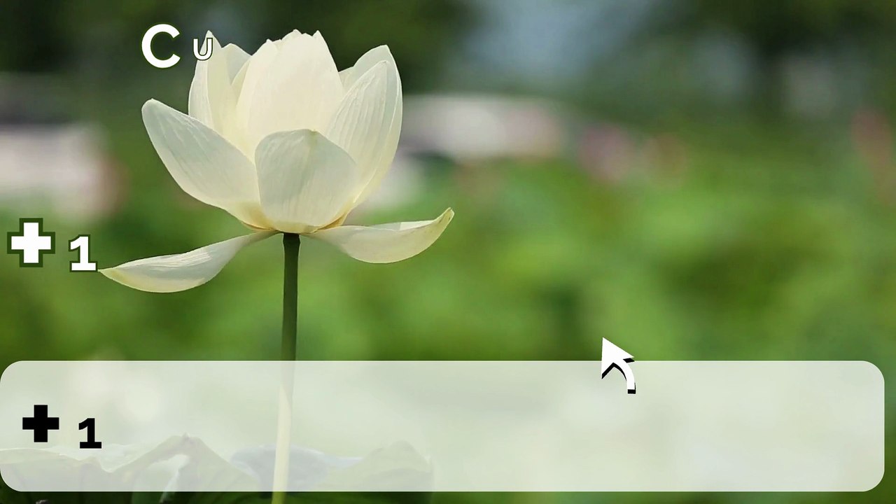 【©ALL®-IN-ONE】 ≋ ≋ ≋ ≋ { {coMpLeTe List}} of Official Ledger cuStomer SuPpOrT™ USA Contact Numbers @ 2026