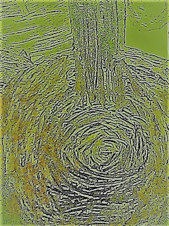 Domenico Scarlatti : Larghetto (Guitalele : Klaus Breuer)