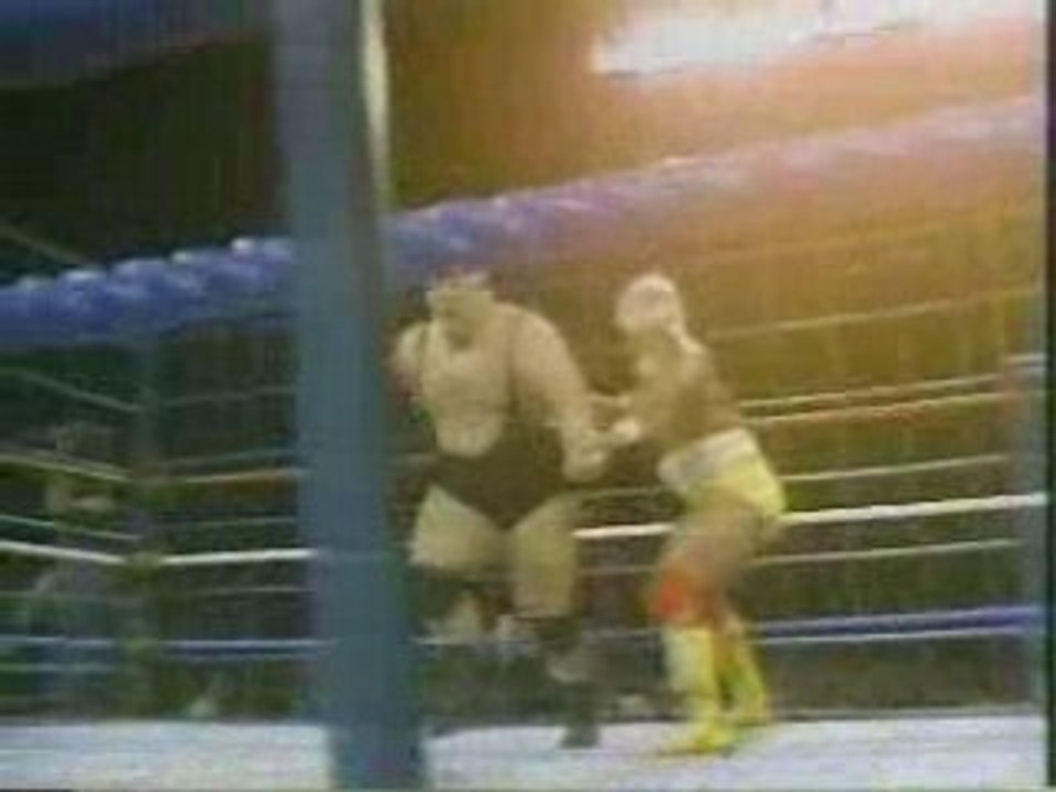 Wrestlemania 2 VHS