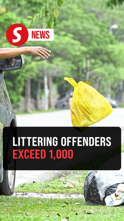 1,054 nabbed for littering to date, says Nga