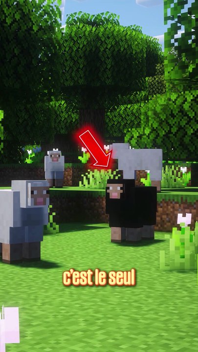 Qui est l'INTRUS ? 🤔