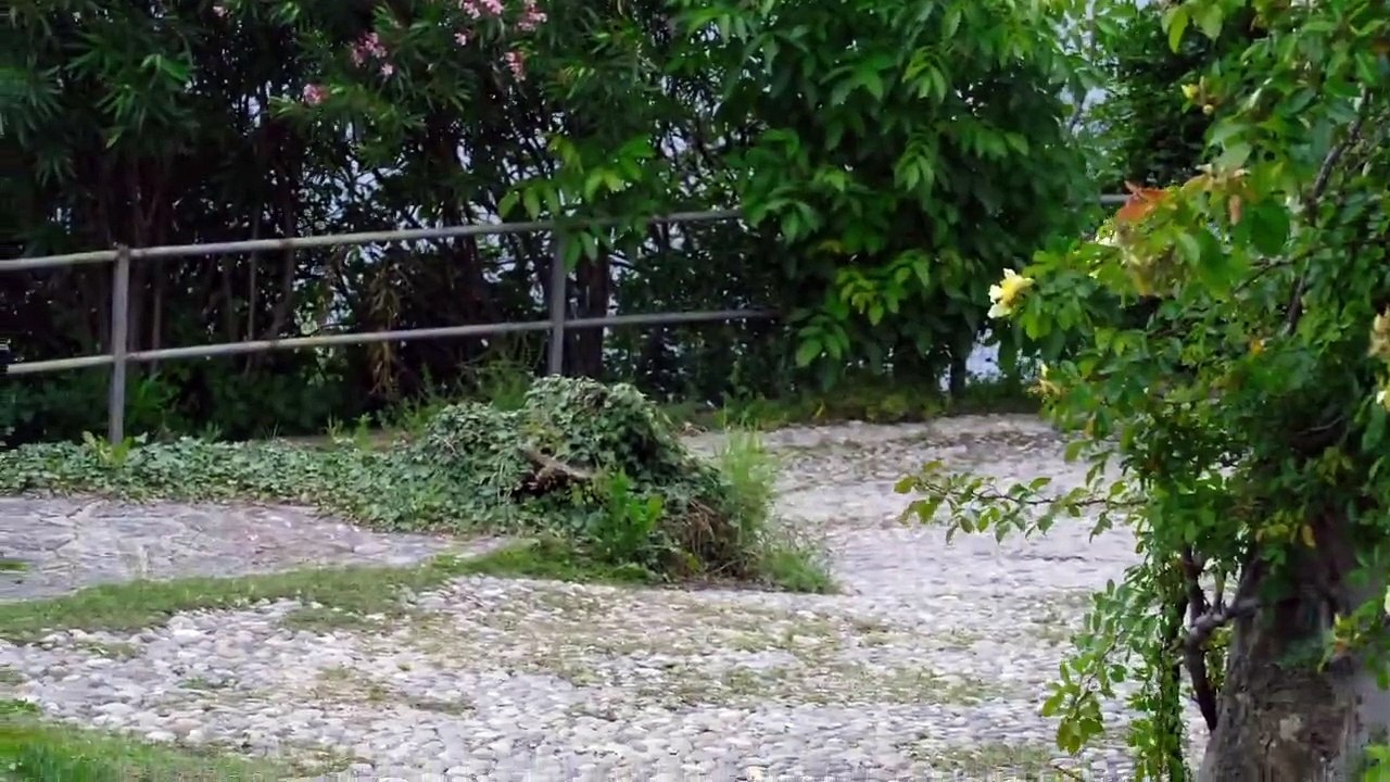 The Run Full Game An FMV horror-thriller_(720P_60FPS)