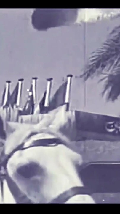 المارد العربي (فلسطين ، الجزائر) #فريد_الاطرش #ملك_العود #المارد_العربي