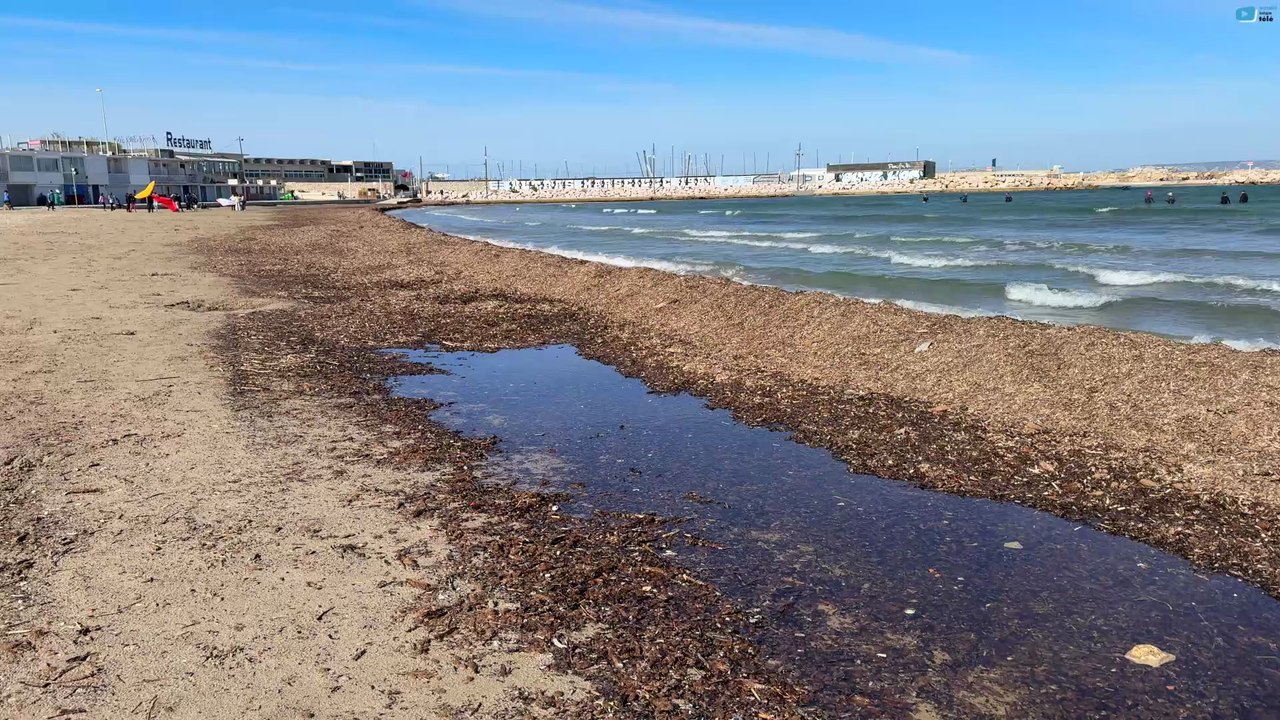 Marseille  | La Plage de la Pointe Rouge | Marseille Bretagne Télé