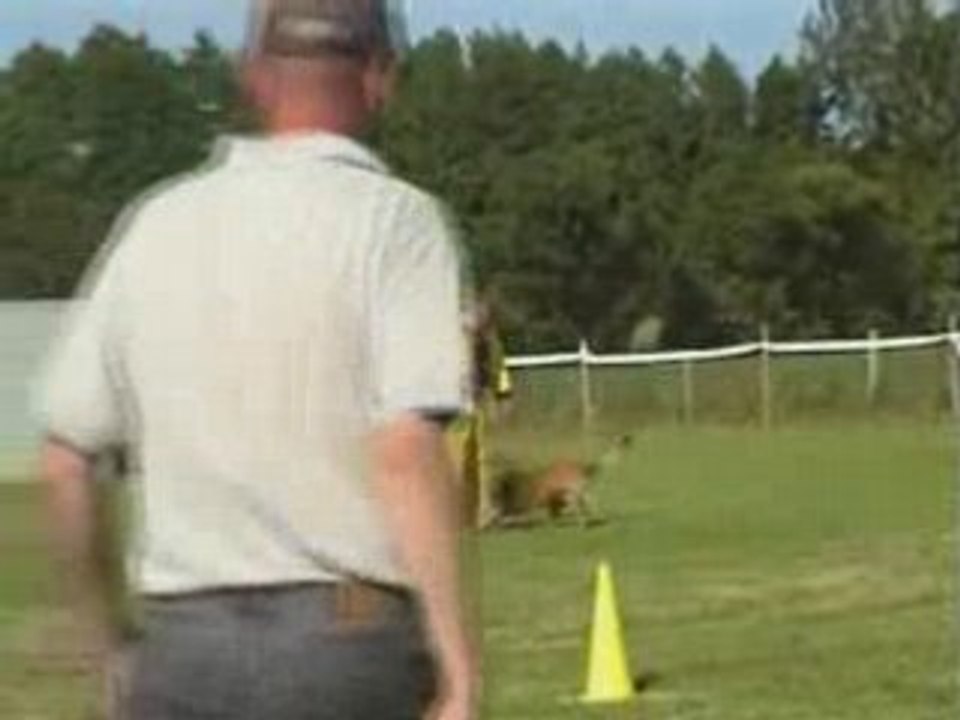 Baron Club Nantais 31 MAI 2008