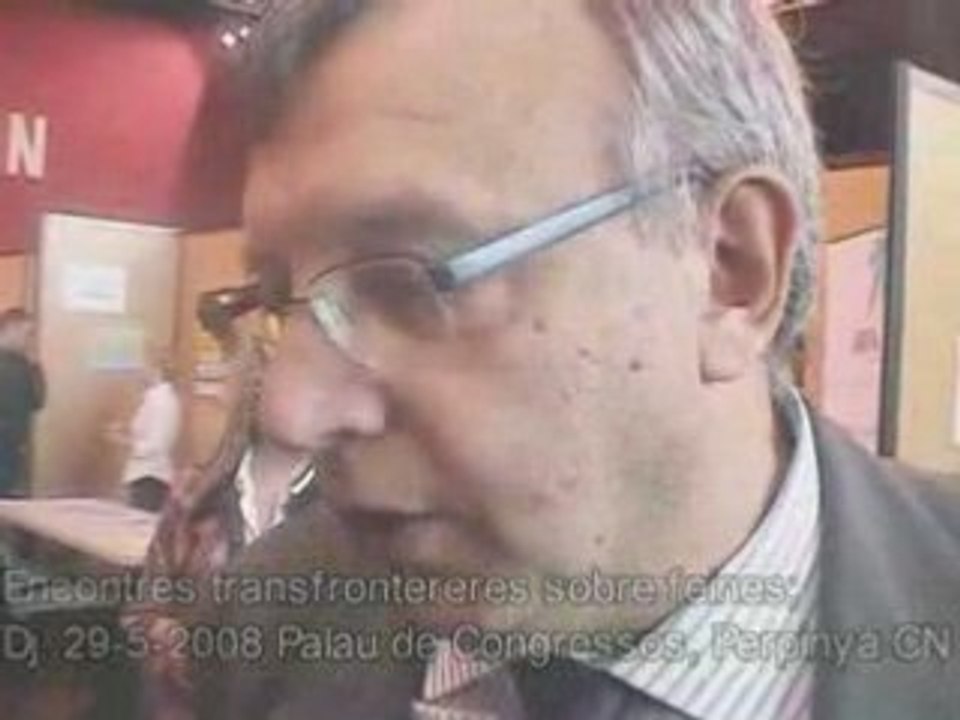 20080529feinaTranfronterera