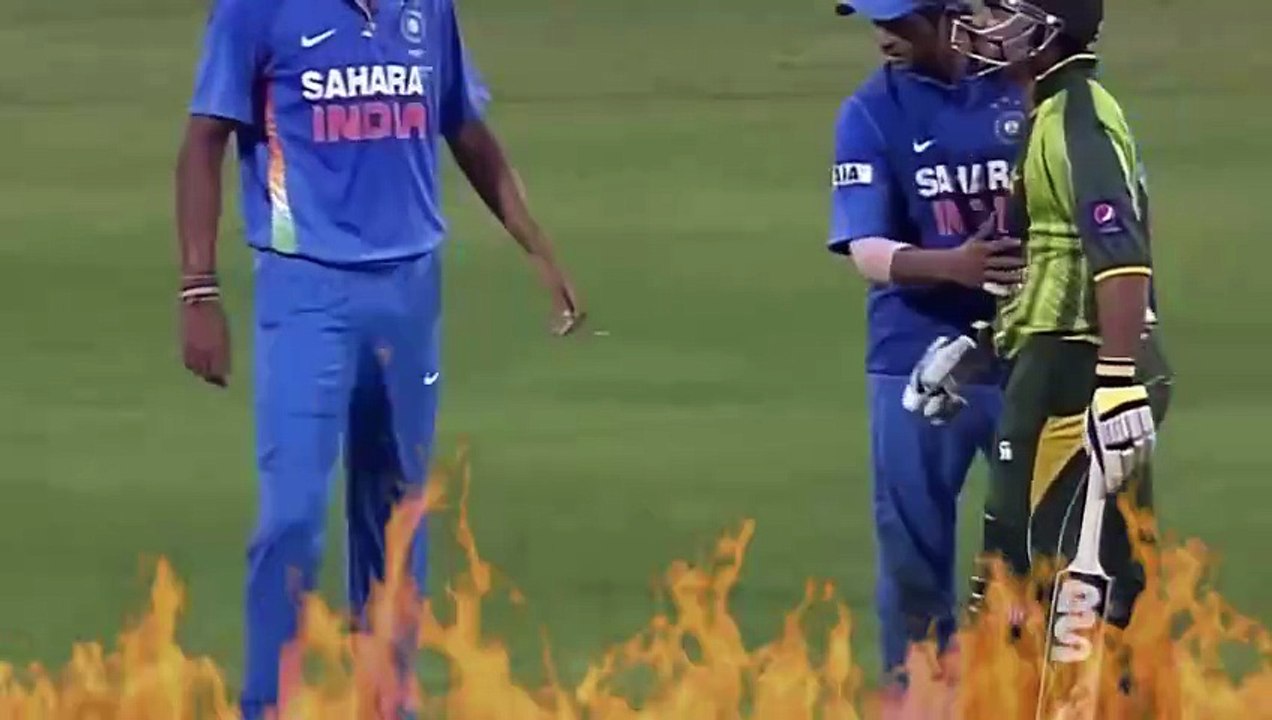 Heated Cricket MOMENTS