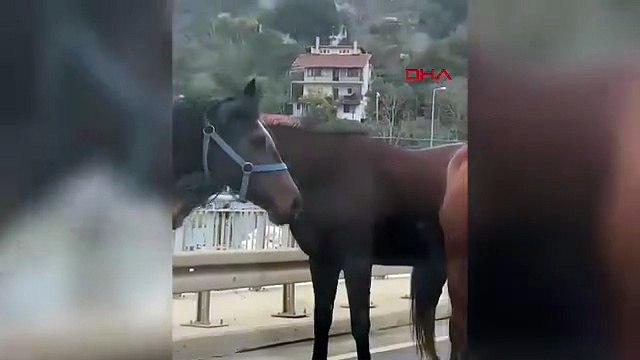 Vatandaşlar hemen kameraya sarıldı: Trafikte tebessüm ettiren görüntü