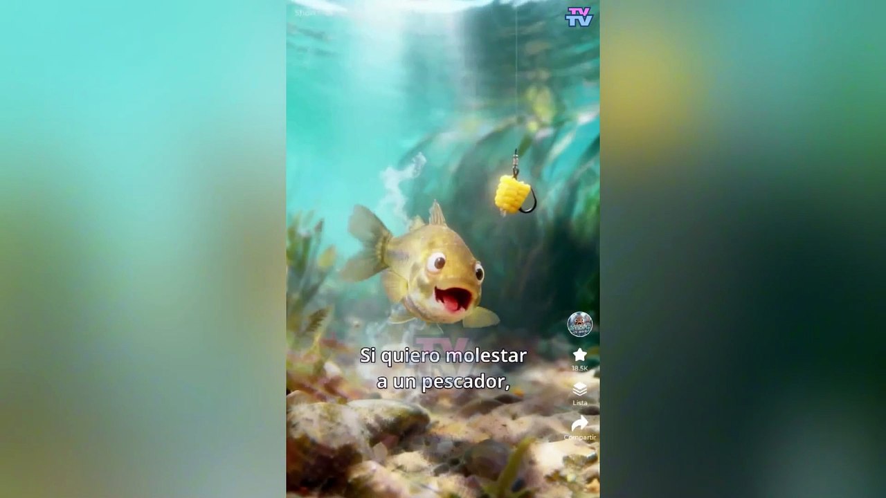 Silly Daddy, When Are You Gonna Find Mommy