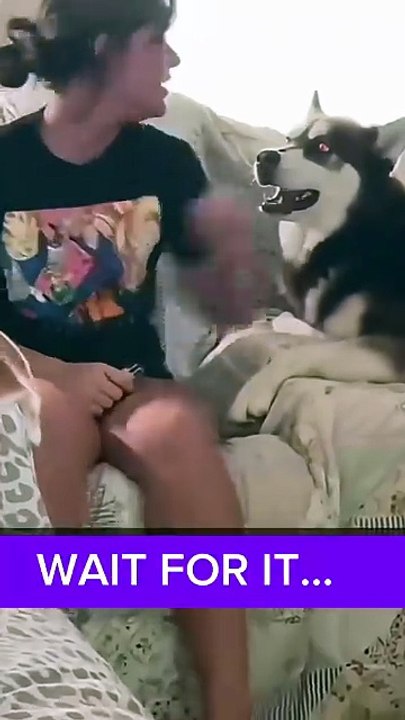 THIS DOG GOT CAUGHT