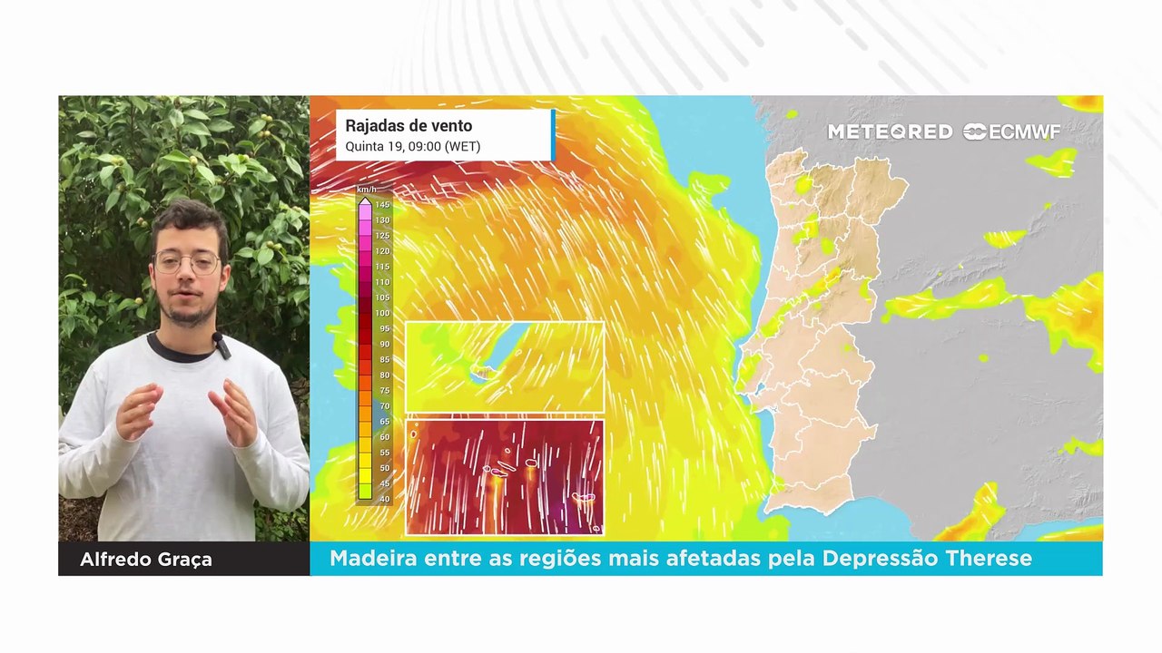 Madeira entre as regiões mais afetadas pela Depressão Therese