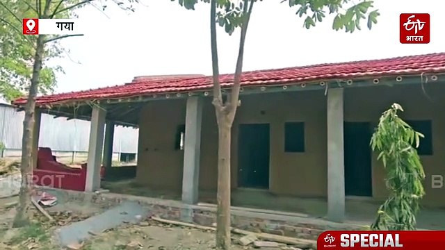 ना सीमेंट लगा ना पानी.. बिहार में जड़ी-बूटियों से बने 'अजूबा घर' को देख इंजीनियर भी दंग