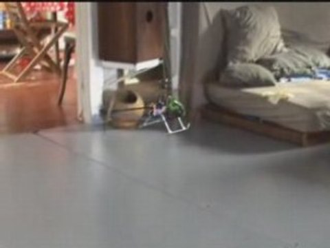 Bricolas6 Concours TUNING Heli4.com 2008 Hélico FP Wasp V2