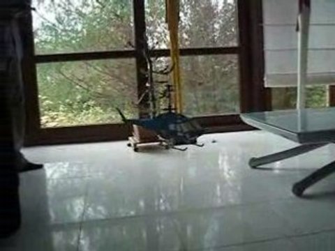 Colletjb Concours TUNING Heli4.com 2008 Lama Xtreme