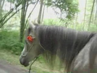 Pash balade 25 mai 08