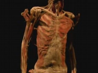 Exposition Our Body à Lyon - L'avis du public