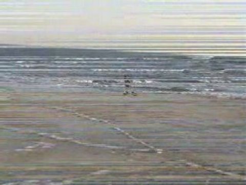 mountain board île tudy