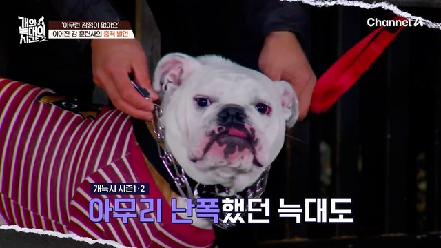 이렇게 함께 살 순 없어요 충격적인 얘기를 꺼낸 강형욱 훈련사
