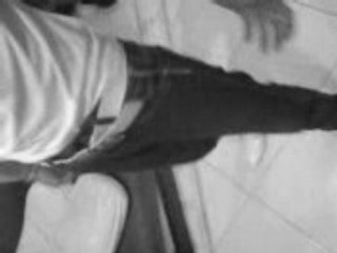 Le stephanois bleu au grau du roi