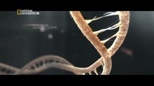 Cosmos: 2/13 - Los rios de la vida [Documental HD]