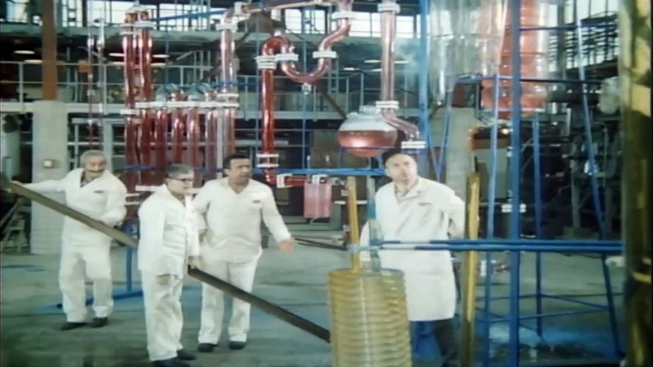 Die Märchenbraut11