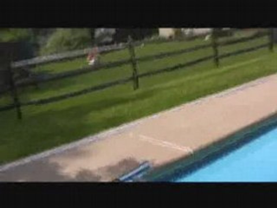 Snake in Pool - video Dailymotion