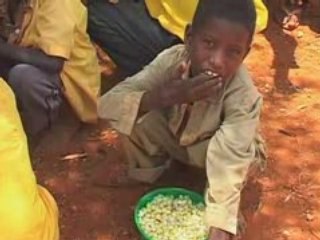 The Elders speak out on the food crisis