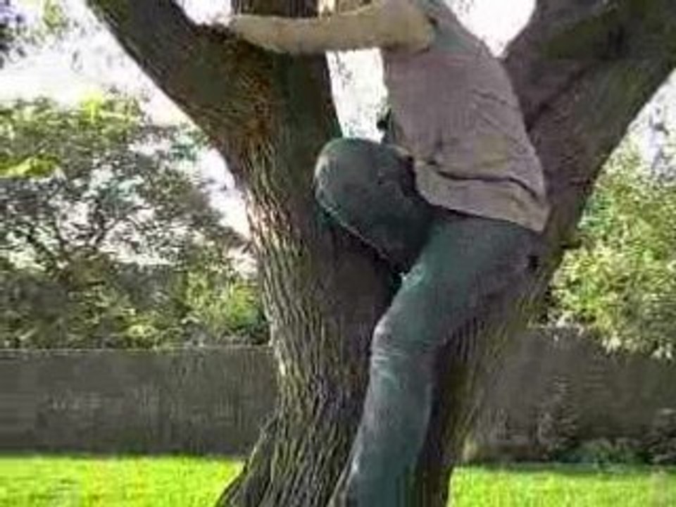arbre