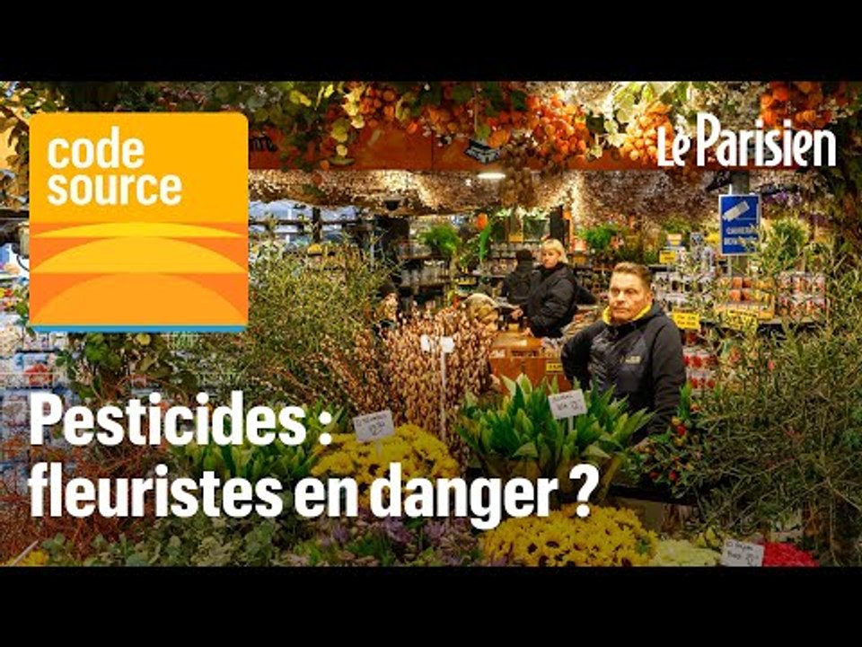 [PODCAST] Nos reporters ont enquêté sur les pesticides