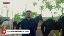 Sultan-ul-Ashiqeen Horses | Noorani Ghora |Ism-e-Mohammad (pbuh) Ka Roohani Raaz
