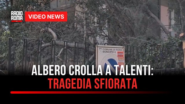 Albero crolla nel cortile a Talenti: tragedia sfiorata