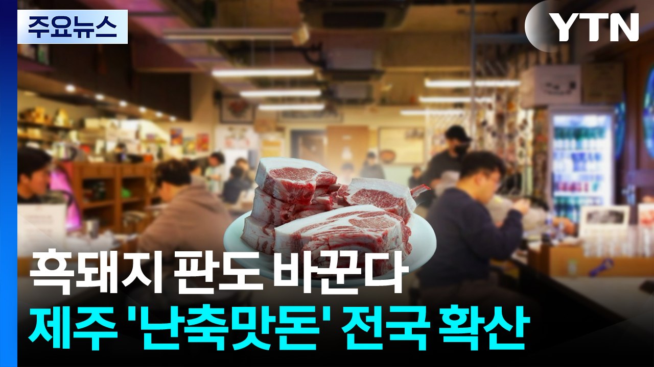 흑돼지 판도 바꾼다...제주 '난축맛돈' 전국 확산 / YTN
