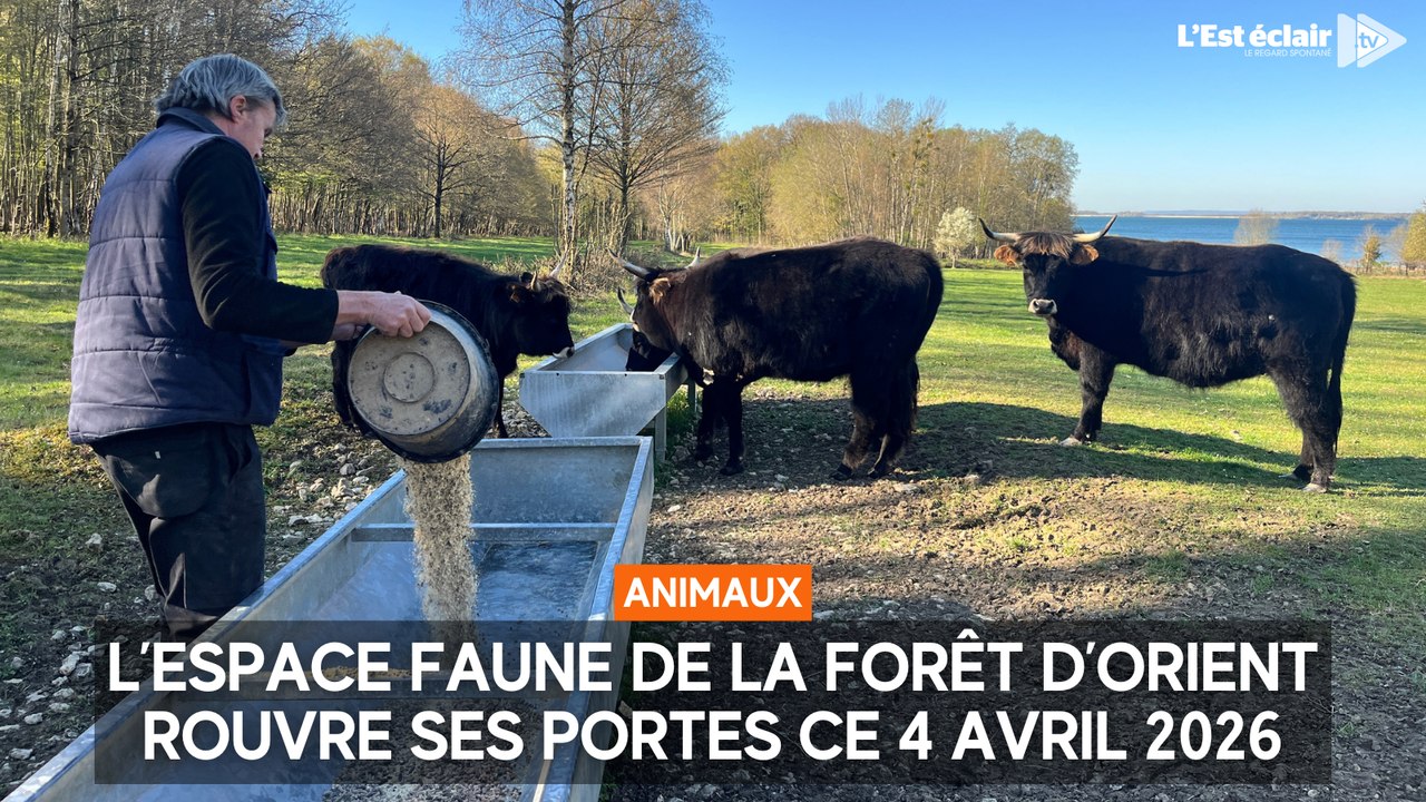 L’Espace faune de la forêt d’Orient rouvre ses portes ce samedi 4 avril 2026