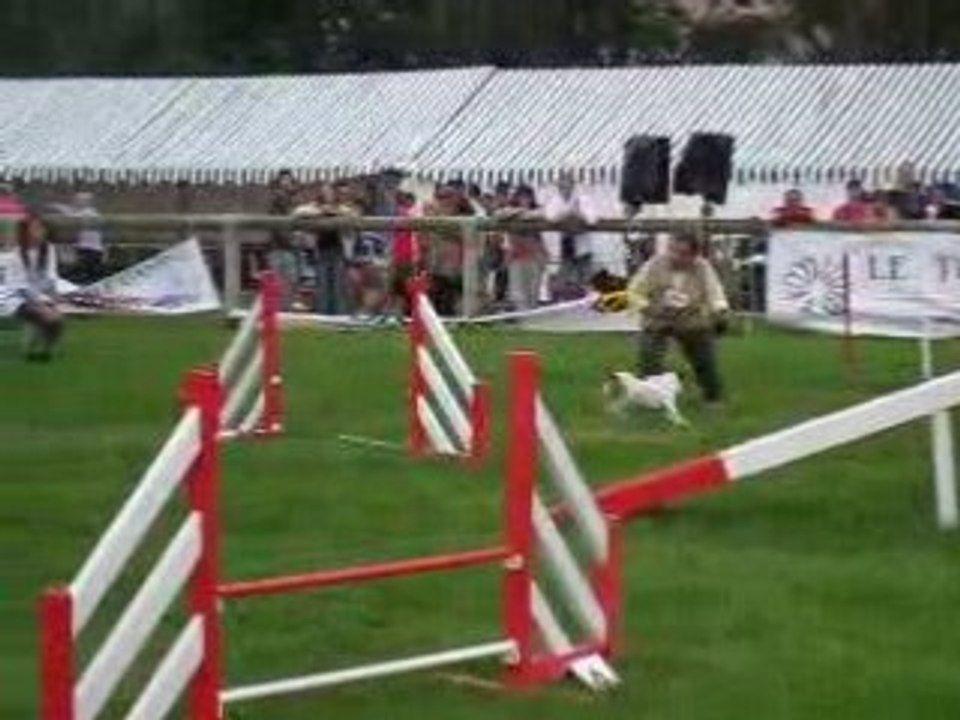 Chpt de France 08 Stanley 2eme Manche - Agility