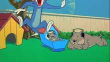 Tom And Jerry - 082 - Hic Cup Pup (1954)