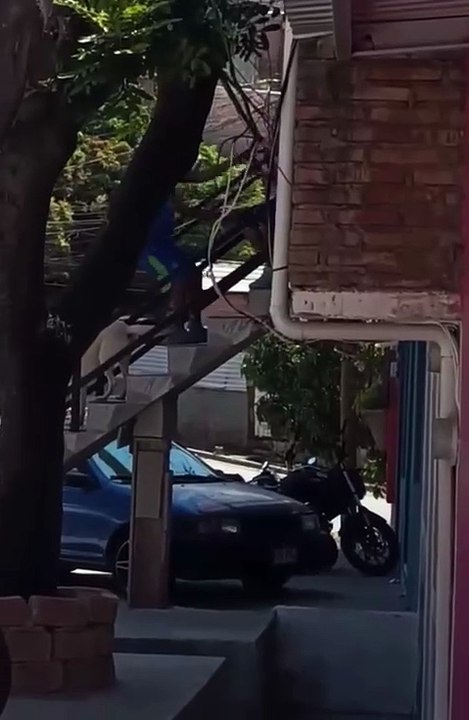 Denuncian a hondureño por malos tratos hacia su padre